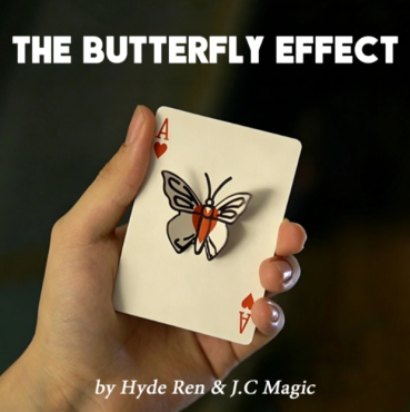 The Butterfly Effect