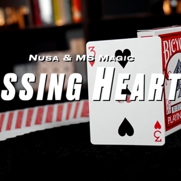 Missing Hearts by Nusa & MS Magic