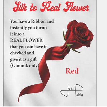 Silk to Real Flower by Juan Pablo