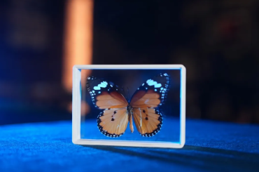 Omni Butterfly by Hyde