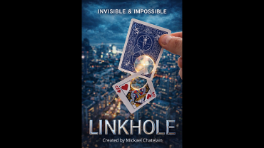 LINKHOLE by Mickael Chatelain