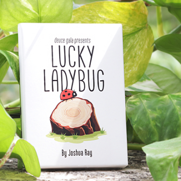 Lucky Ladybug by Joshua Ray & Deuce Gala Magic