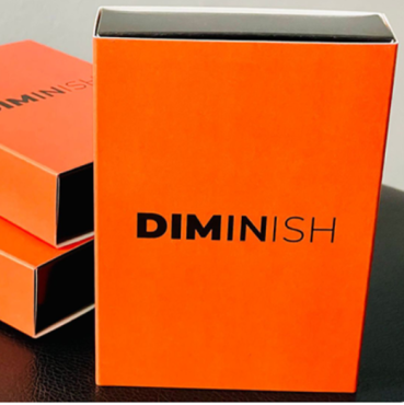 Diminish by Damian Surr