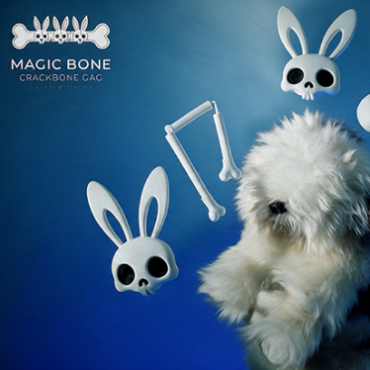 Magic Bones by Leonardo Arvelaez