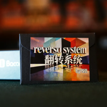 Reverso System