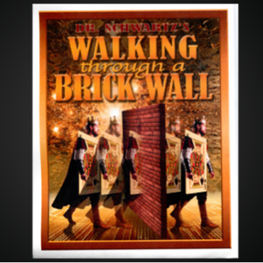 Walking Thru a Brick Wall by Martin Schwartz
