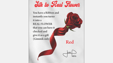Silk to Real Flower by Juan Pablo
